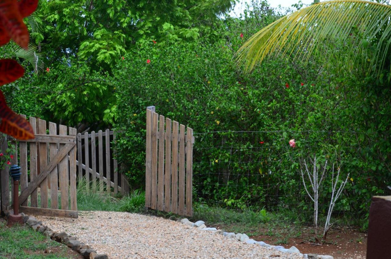 Montezuma Hills - Two Houses In A Private Compound エクステリア 写真